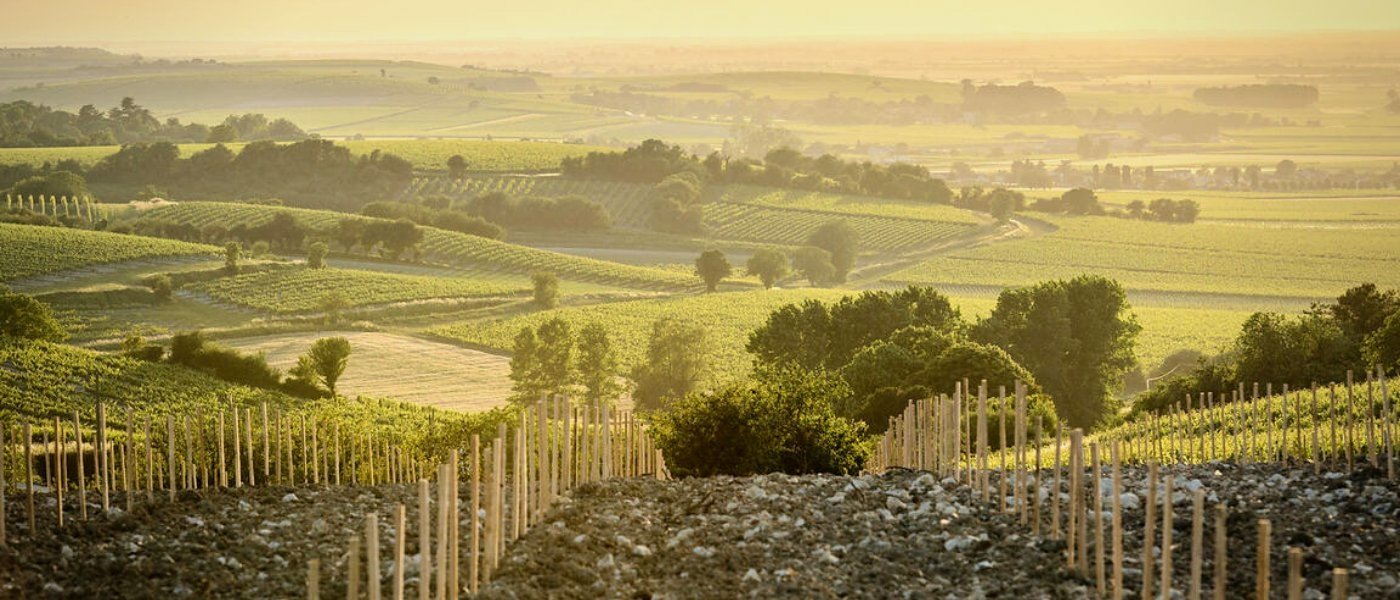 Cognac countryside